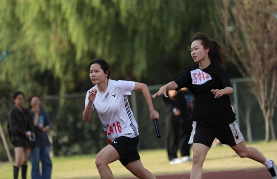 1703569026495168.png 图片 1.png