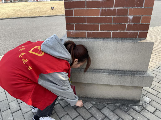 1646716349279031.png 1.png